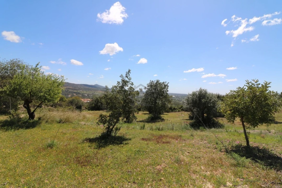 Terreno para Venda em Conceição e Estoi Foto 7