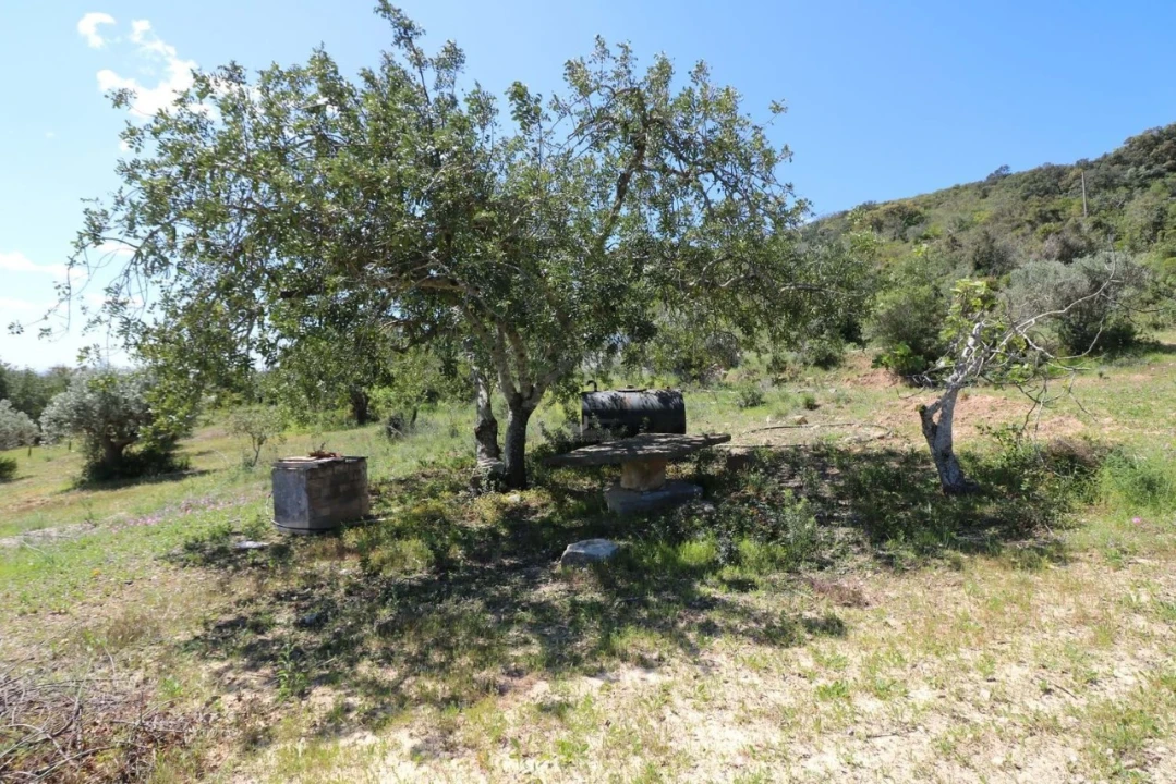 Terreno para Venda em Conceição e Estoi Foto 9