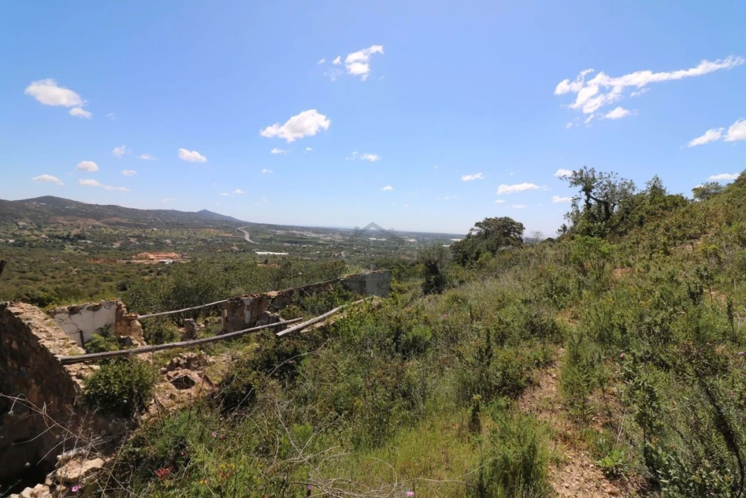 Terreno para Venda em Conceição e Estoi Foto 10