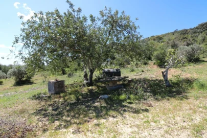 Terreno para Venda em Conceição e Estoi