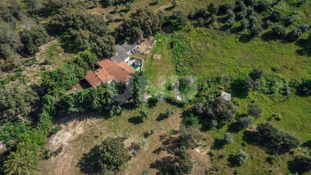 Quinta T3 para Venda em Salgueiro do Campo Foto 5