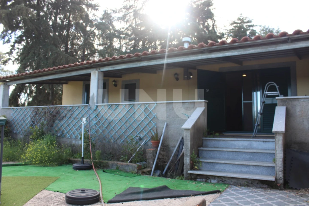 Quinta T3 para Venda em Salgueiro do Campo Foto 23