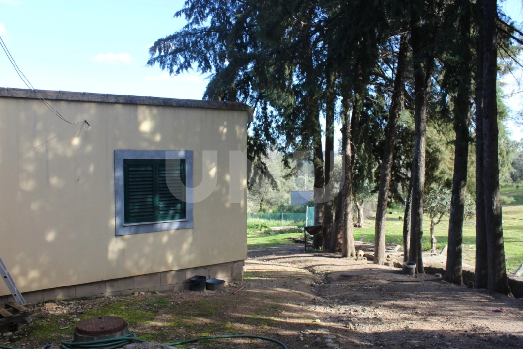 Quinta T3 para Venda em Salgueiro do Campo Foto 30