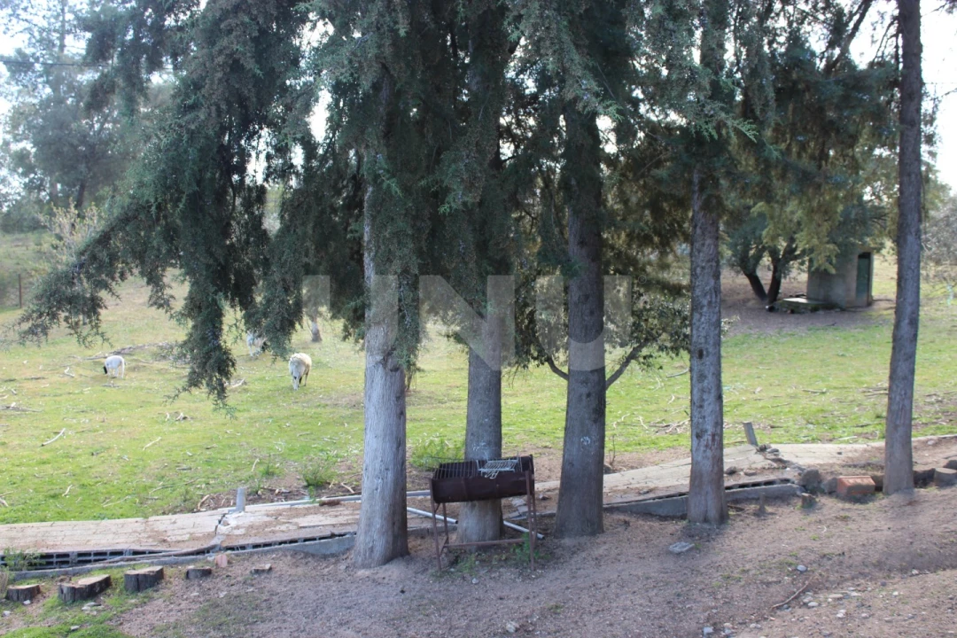 Quinta T3 para Venda em Salgueiro do Campo Foto 31