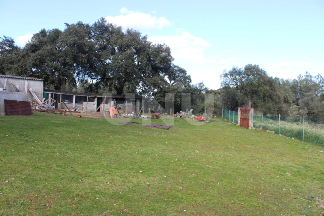 Quinta T3 para Venda em Salgueiro do Campo Foto 33