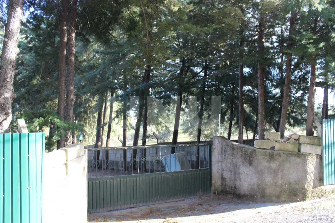 Quinta T3 para Venda em Salgueiro do Campo Foto 37