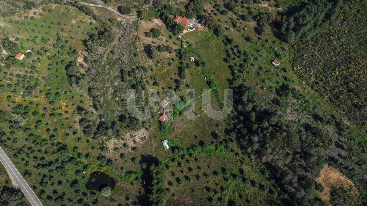 Quinta T3 para Venda em Salgueiro do Campo Foto 38