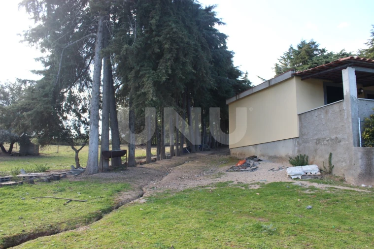 Quinta T3 para Venda em Salgueiro do Campo Foto 29