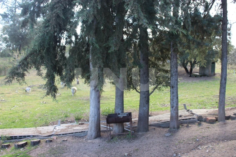 Quinta T3 para Venda em Salgueiro do Campo Foto 31