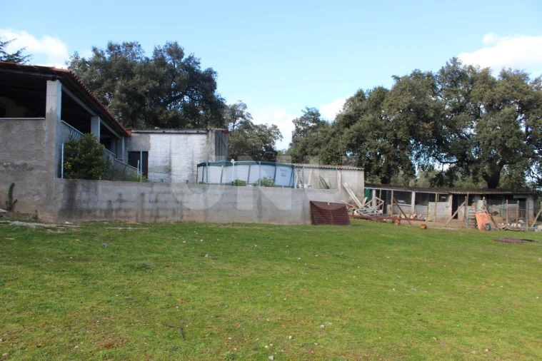 Quinta T3 para Venda em Salgueiro do Campo Foto 32