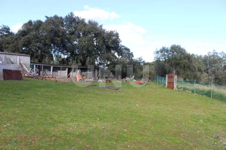 Quinta T3 para Venda em Salgueiro do Campo Foto 33