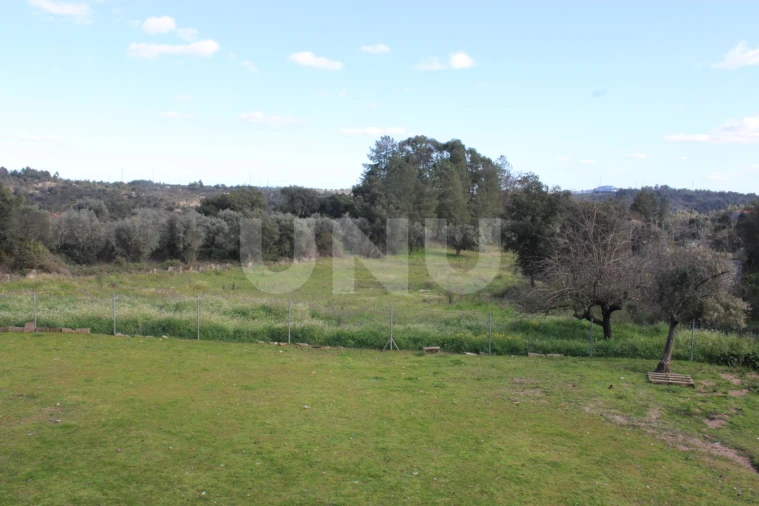 Quinta T3 para Venda em Salgueiro do Campo Foto 34