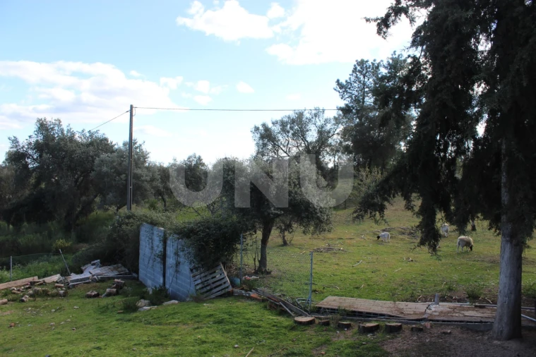 Quinta T3 para Venda em Salgueiro do Campo Foto 35