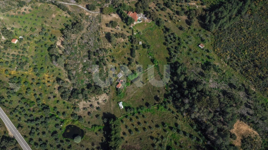 Quinta T3 para Venda em Salgueiro do Campo Foto 38