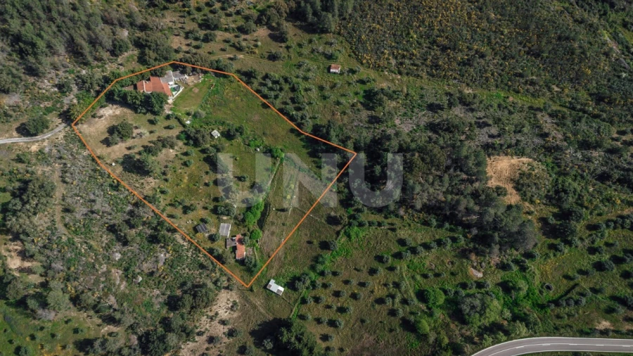 Quinta T3 para Venda em Salgueiro do Campo