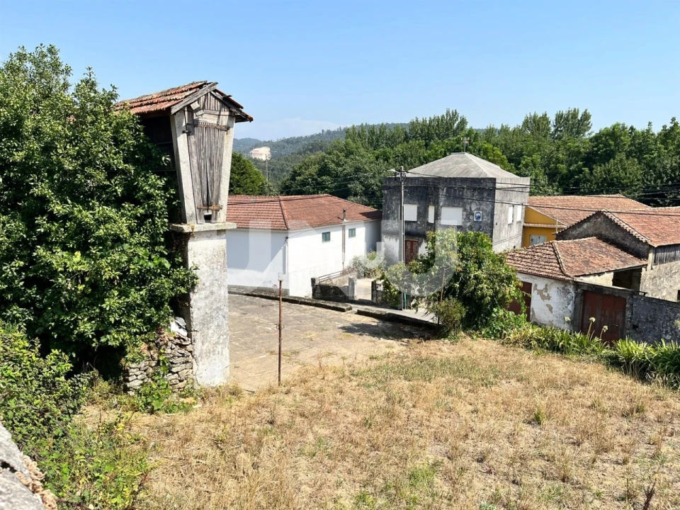 Terreno Agricola ou Rústico para Venda em Santa Maria da Feira, Travanca, Sanfins e Espargo Foto 3