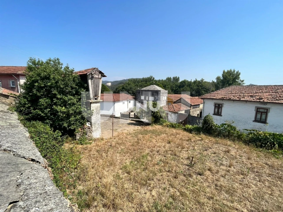 Terreno Agricola ou Rústico para Venda em Santa Maria da Feira, Travanca, Sanfins e Espargo Foto 8
