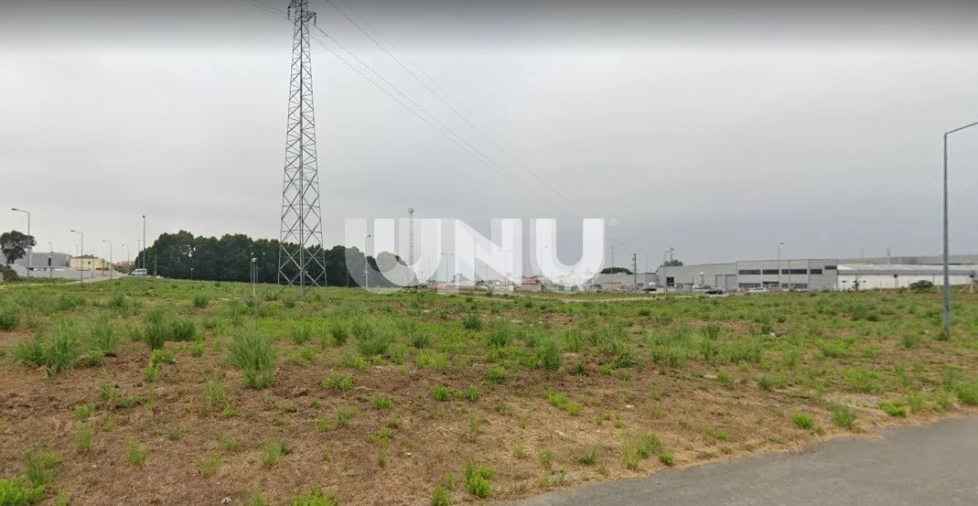 Terreno para Venda em São Paio de Oleiros Foto 8