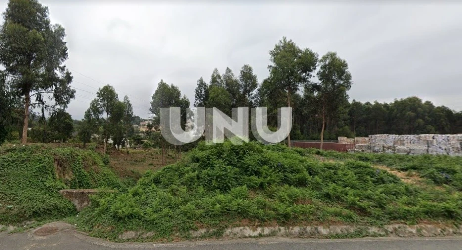 Terreno para Venda em São Paio de Oleiros Foto 2