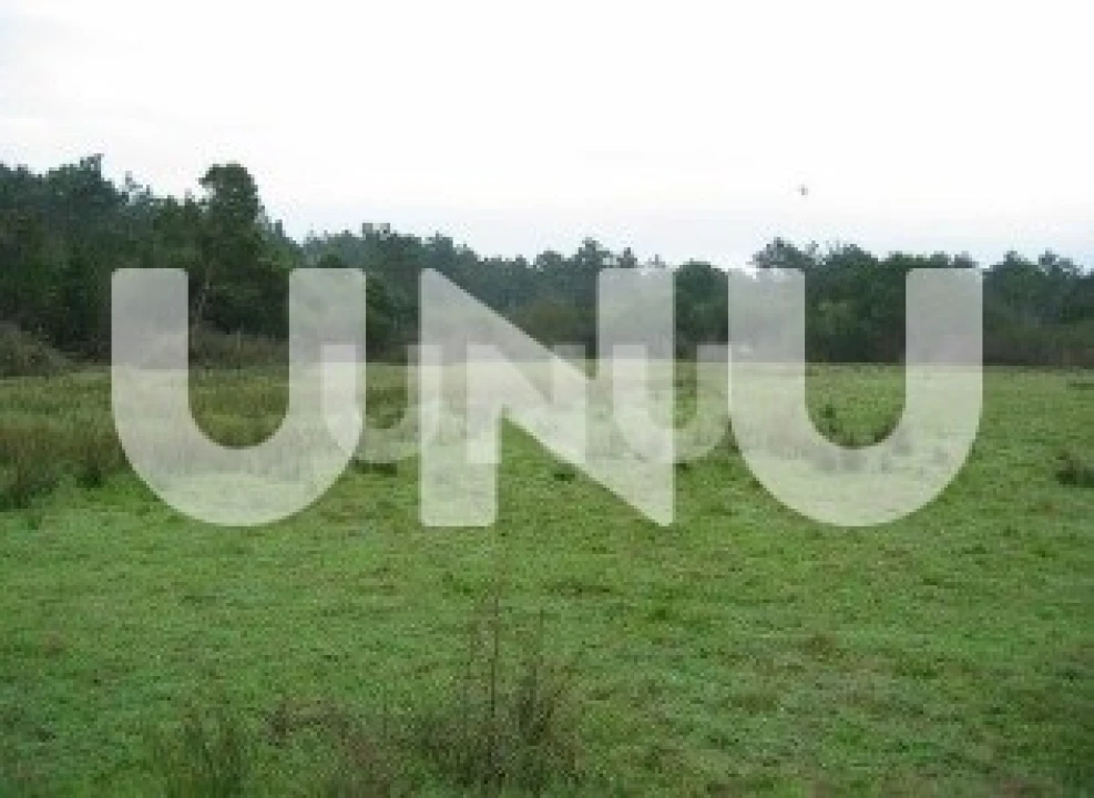 Terreno para Venda em Murtosa Foto 4