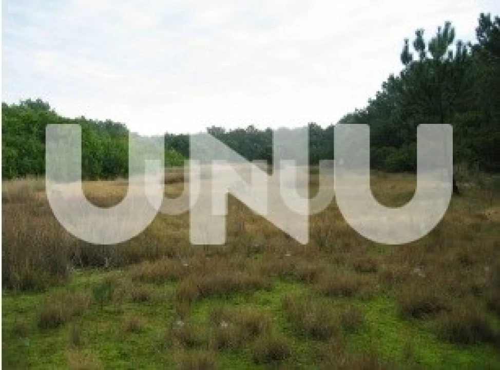 Terreno para Venda em Murtosa Foto 5