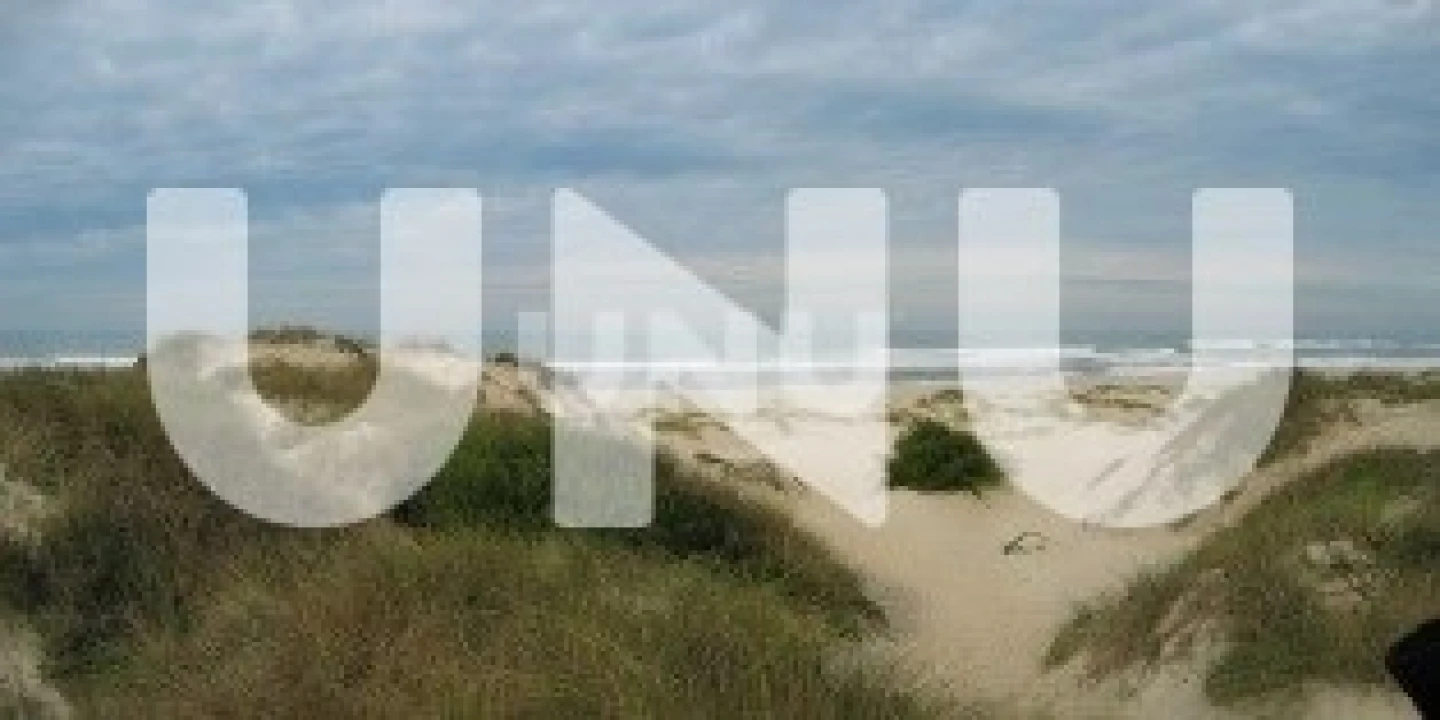 Terreno para Venda em Murtosa Foto 6