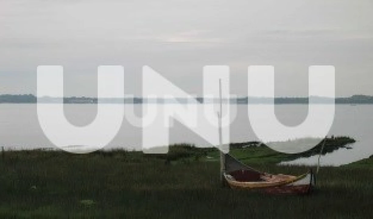 Terreno para Venda em Murtosa Foto 9