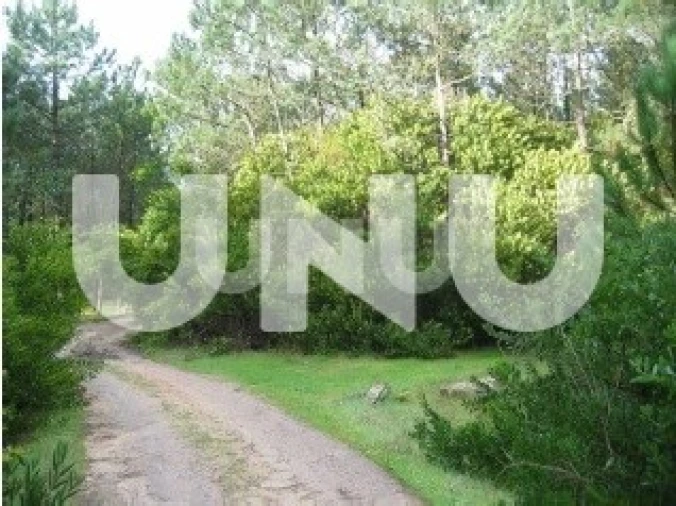 Terreno para Venda em Murtosa Foto 2