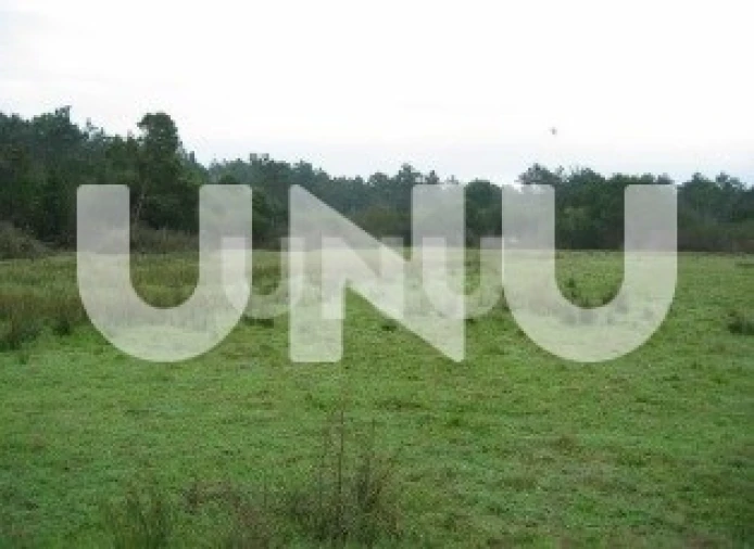 Terreno para Venda em Murtosa Foto 4