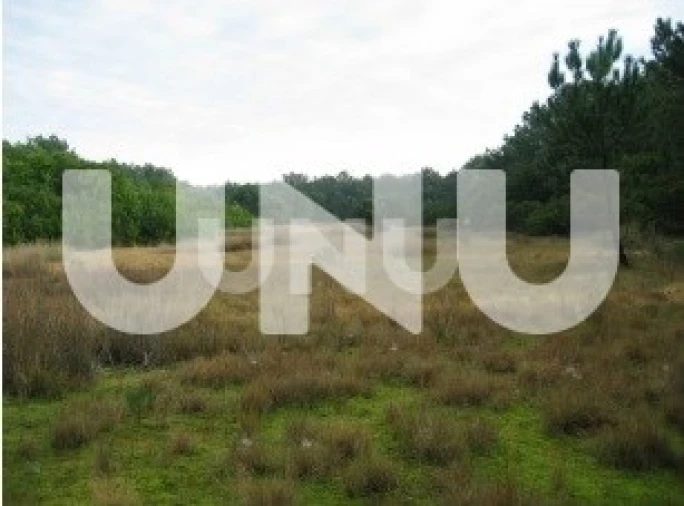 Terreno para Venda em Murtosa Foto 5