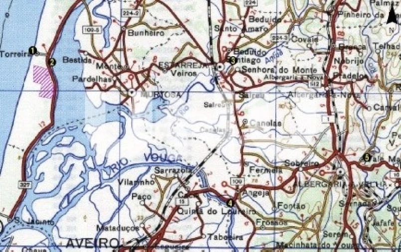 Terreno para Venda em Murtosa Foto 11