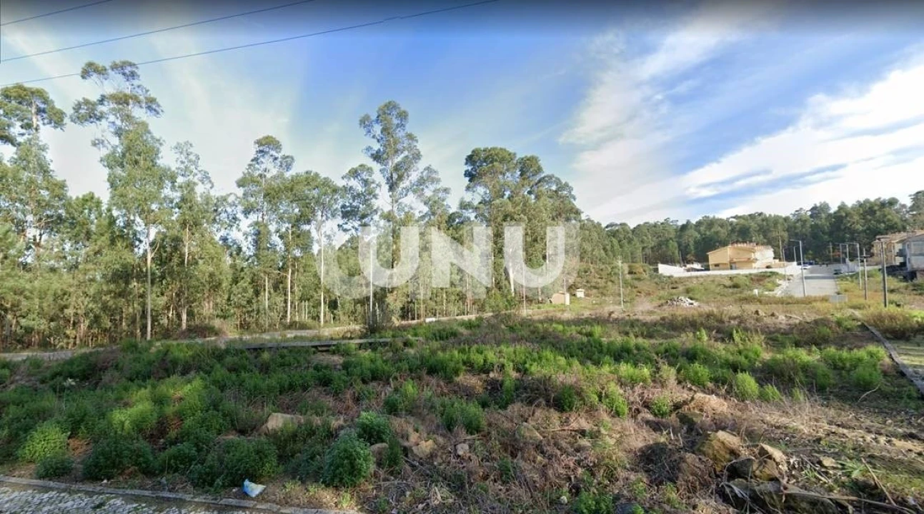 Terreno para Venda em Fajões Foto 6