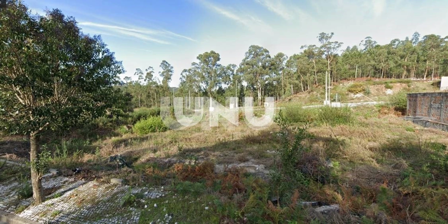 Terreno para Venda em Fajões Foto 7