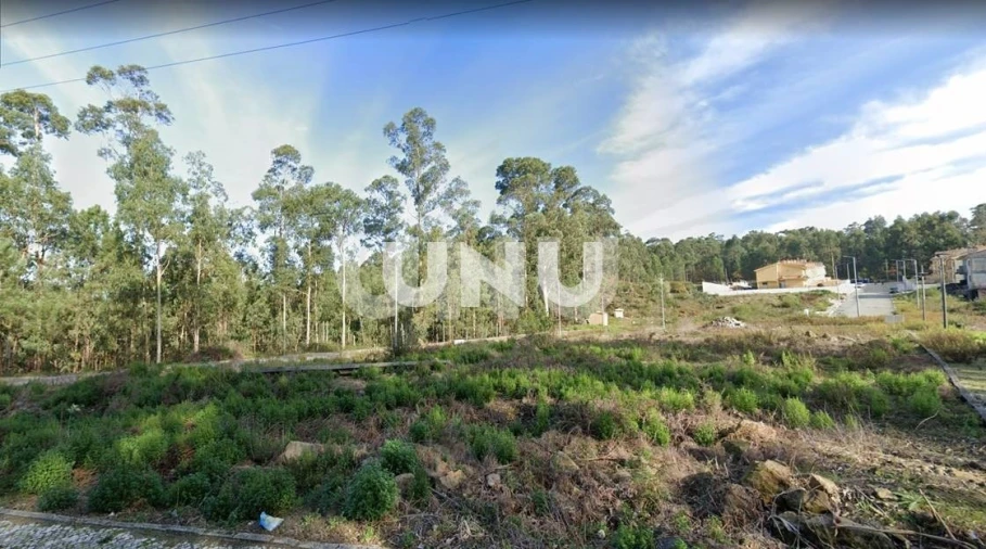 Terreno para Venda em Fajões Foto 6