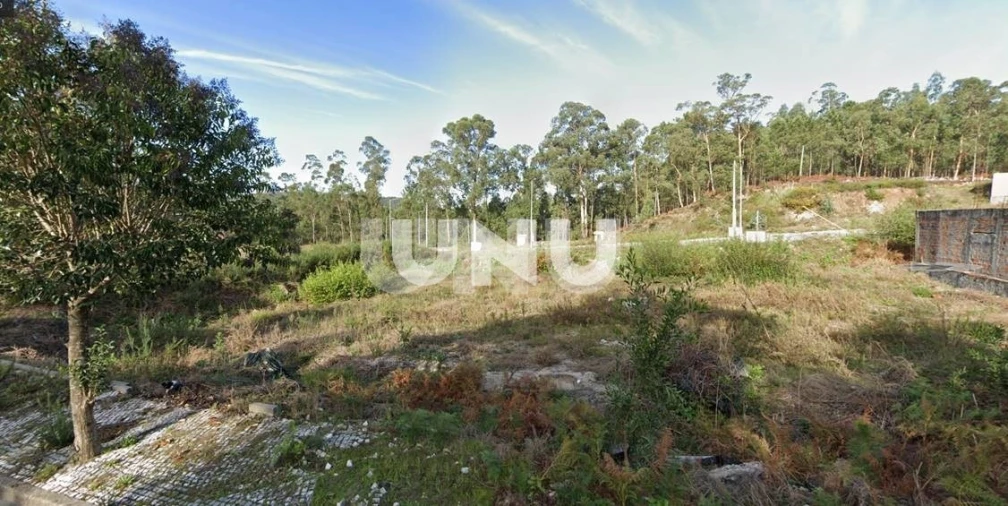 Terreno para Venda em Fajões Foto 7