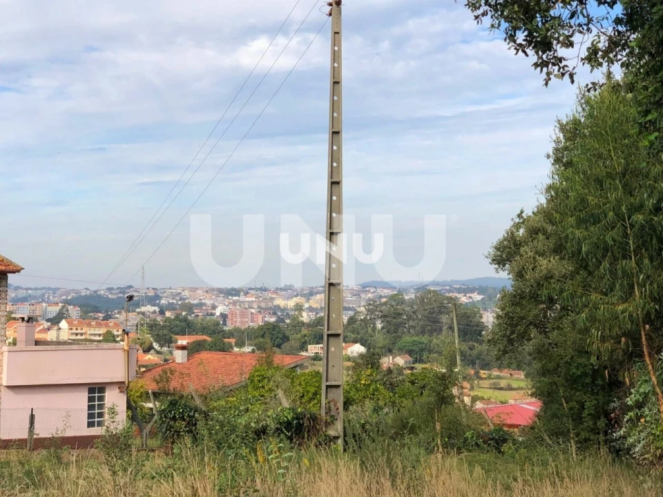 Terreno para Venda em Vila de Cucujães Foto 5
