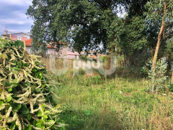 Terreno para Venda em Vila de Cucujães Foto 3