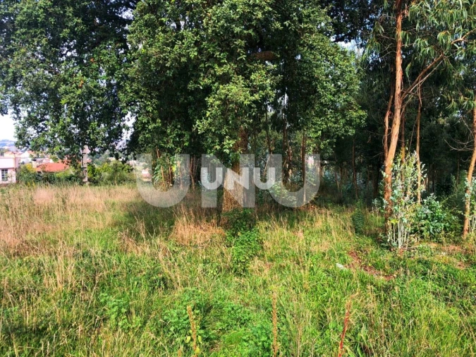 Terreno para Venda em Vila de Cucujães Foto 4