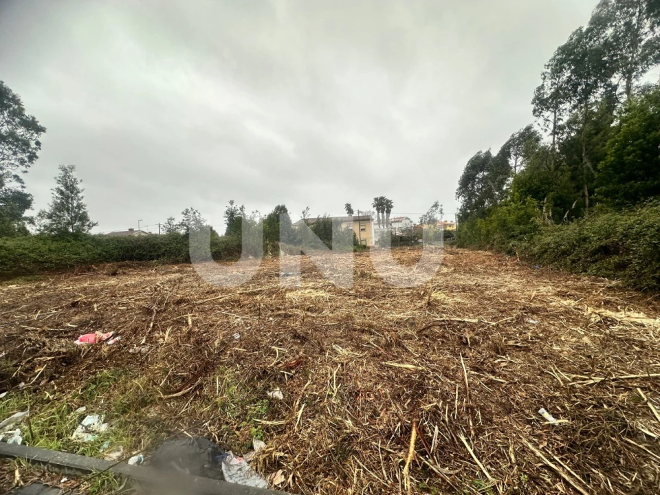 Terreno Agricola ou Rústico para Venda em Rio Meão Foto 2