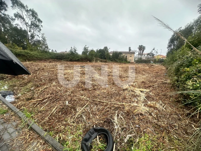 Terreno Agricola ou Rústico para Venda em Rio Meão Foto 3