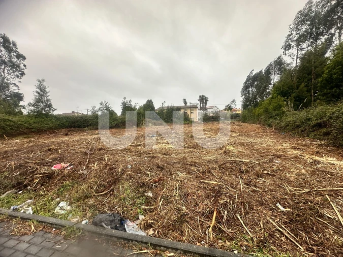 Terreno Agricola ou Rústico para Venda em Rio Meão Foto 4