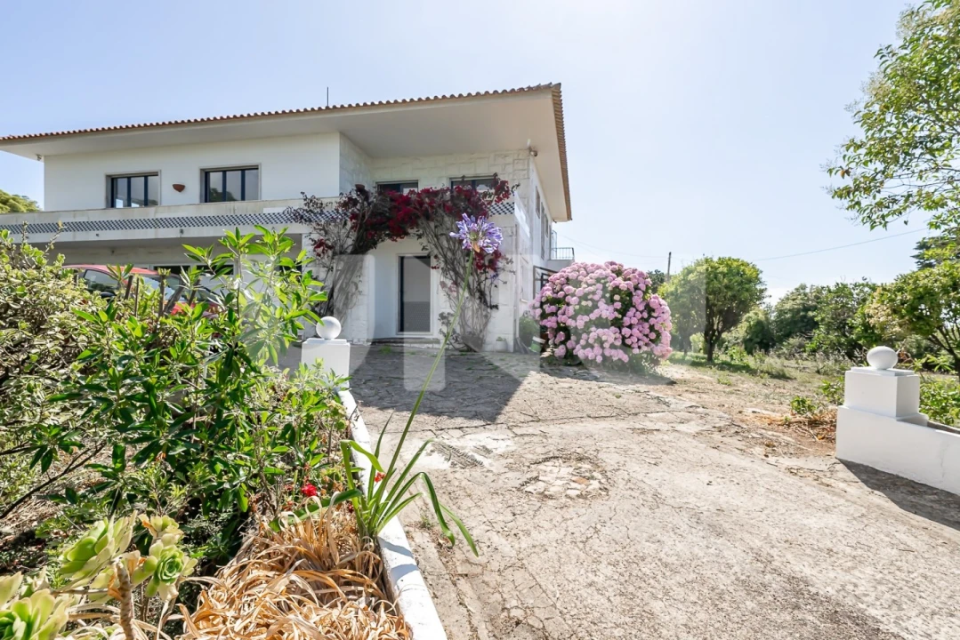 Quinta T6 para Venda em Colares Foto 37