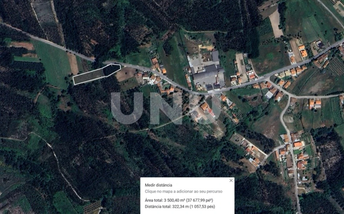 Terreno Agricola ou Rústico para Venda em Bustos, Troviscal e Mamarrosa Foto 3