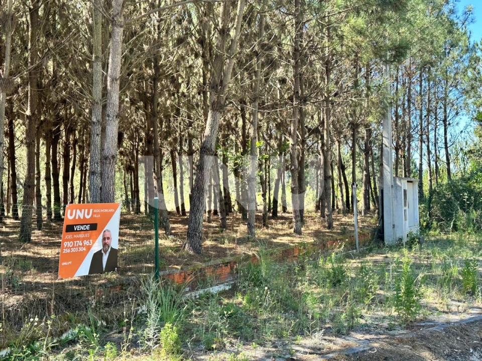 Terreno Agricola ou Rústico para Venda em Bustos, Troviscal e Mamarrosa Foto 4