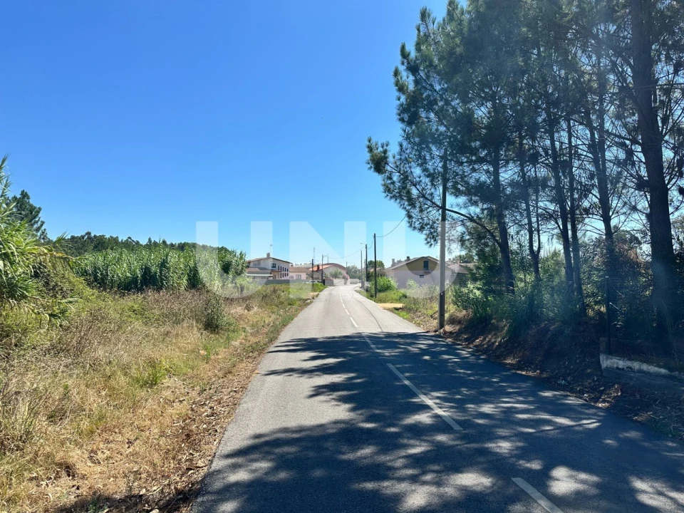 Terreno Agricola ou Rústico para Venda em Bustos, Troviscal e Mamarrosa Foto 6