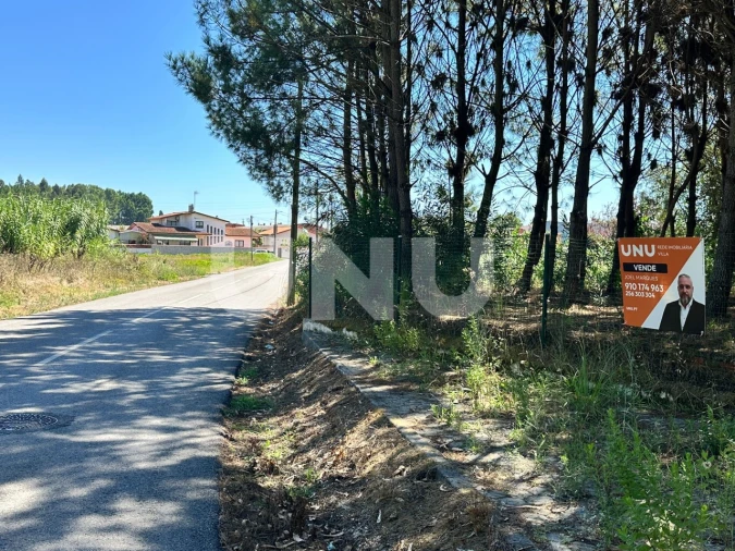 Terreno Agricola ou Rústico para Venda em Bustos, Troviscal e Mamarrosa