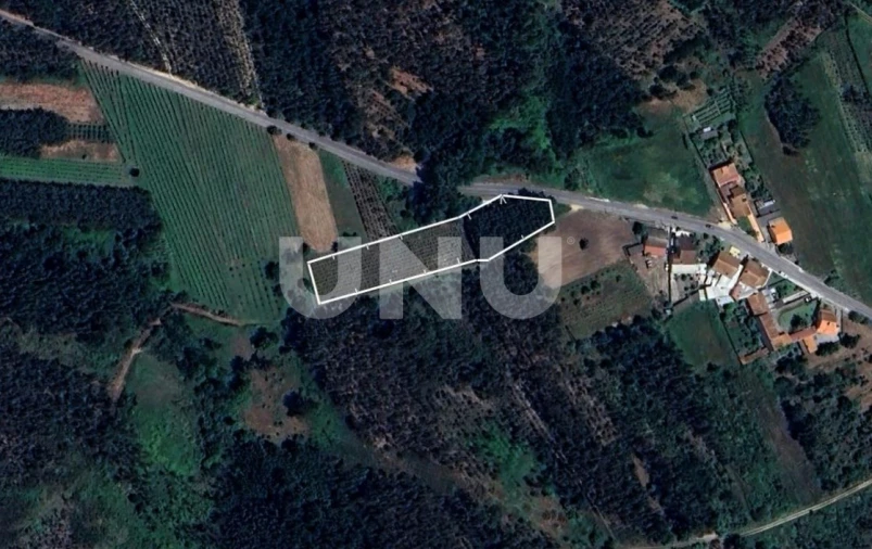 Terreno Agricola ou Rústico para Venda em Bustos, Troviscal e Mamarrosa Foto 2