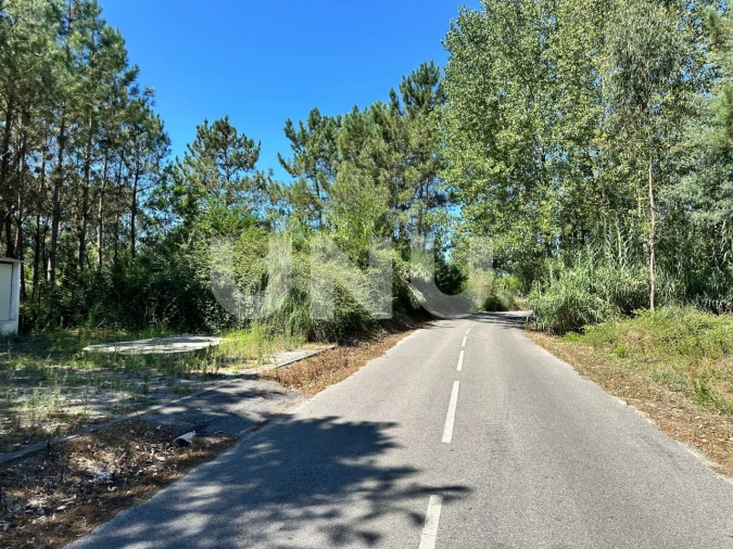 Terreno Agricola ou Rústico para Venda em Bustos, Troviscal e Mamarrosa Foto 7
