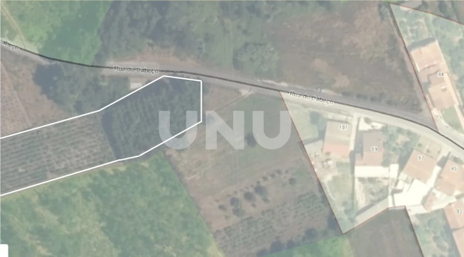 Terreno Agricola ou Rústico para Venda em Bustos, Troviscal e Mamarrosa Foto 13