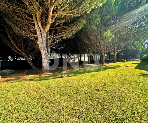 Moradia T4 para Venda em Esmoriz Foto 14